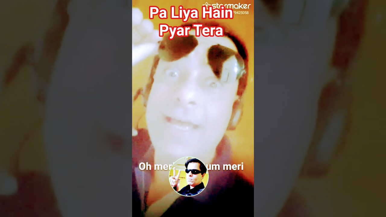 Paa Liya Hai Pyar Tera - Kyu Kii Mein Jhuth Nahin Bolta | Govinda | Susmita Sen | Cover by Bipin