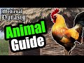 Animals Basics and Tips in Medieval Dynasty