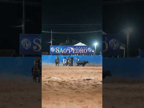 Gabriel Del Castilho, campeão na categoria Amador Patrão no 1˚ Bolão de Inverno do Haras São Pedro