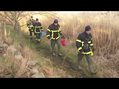 Wasserleiche treibt in Rostocker Unterwarnow – Identität und Todesursache ungeklärt