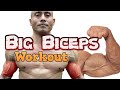 Are These The 7 Best Biceps Workouts For Faster Arm Growth