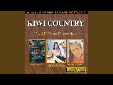 Little Yellow Aeroplane