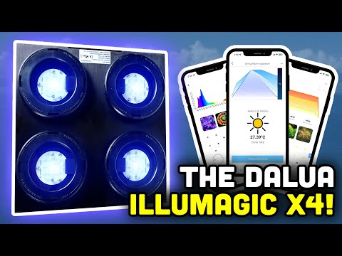 Dalua Illumagic X4! Using Reef Realism to Light YOUR Reef!