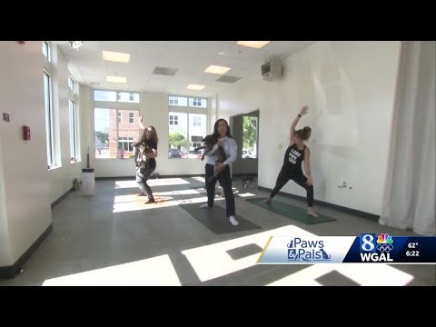 Paws and Pals 92725 - YouTube