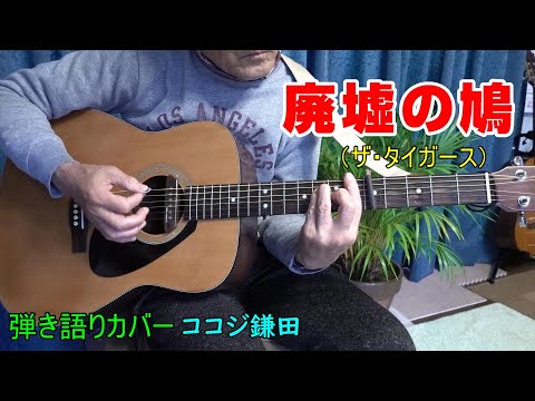【 廃墟の鳩】（ザ・タイガース）「昭和の歌」シリーズ、弾き語りカバー： By ココジ鎌田