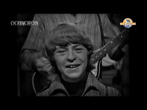 The McCoys - Hang On, Sloopy (1965)