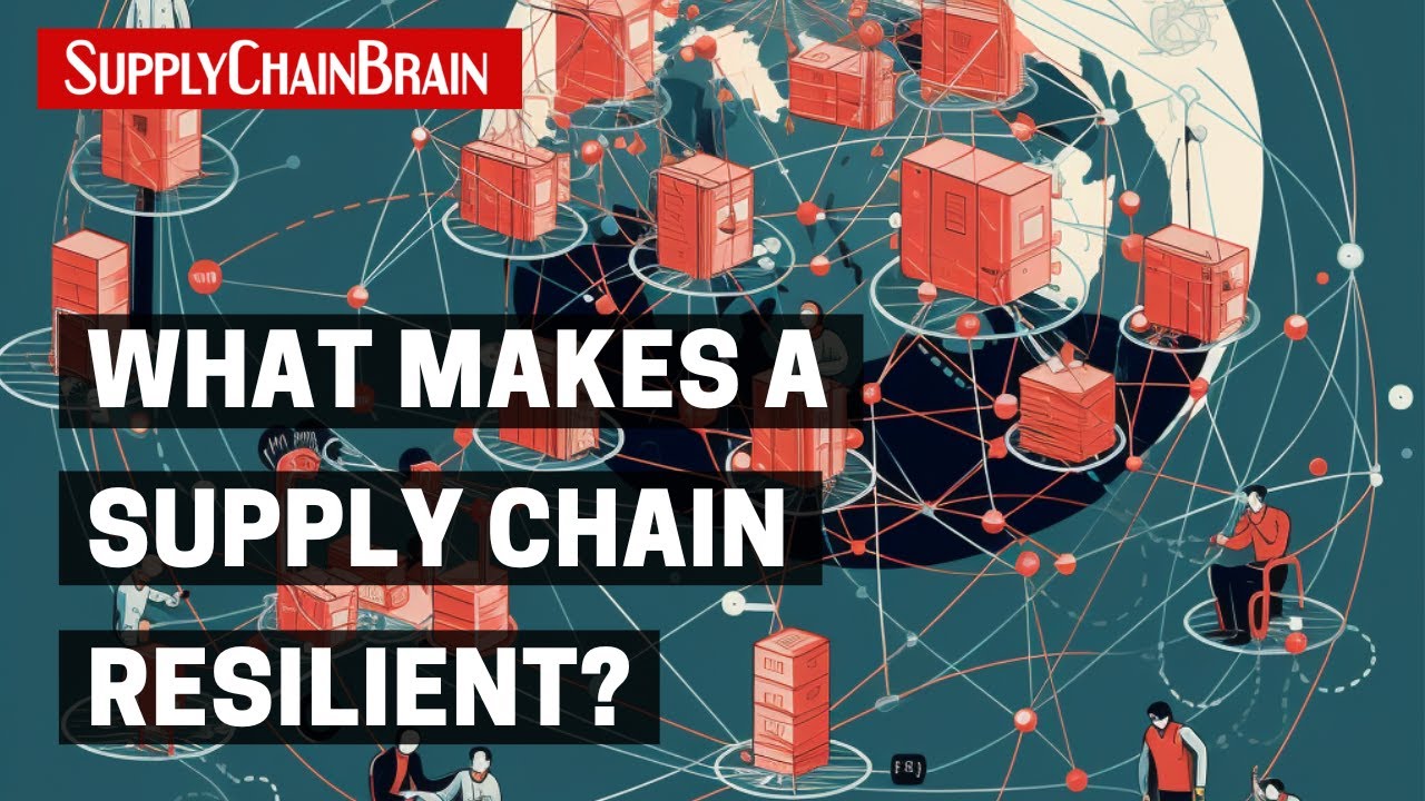 What Makes a Supply Chain Resilient?