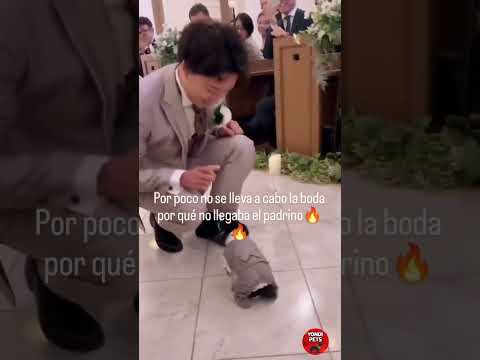 ¡ESPEREN QUE YA VOY!