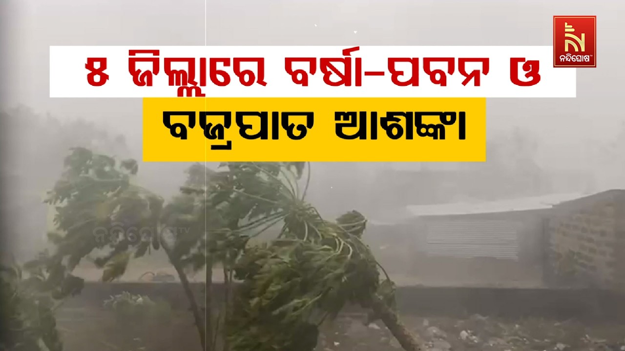 🔴 Live |୫ ଜିଲ୍ଲାରେ ବର୍ଷା-ପବନ ଓ ବଜ୍ରପାତ ଆଶଙ୍କା | Nandighosha TV