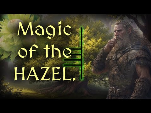 What Makes the Hazel Tree So Magical?