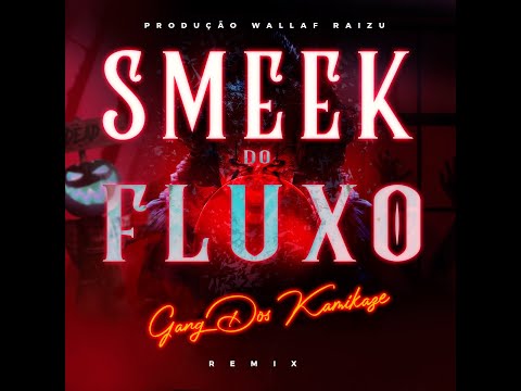 SMEEK DO FLUXO REMIX 2025 (RAIZUDJ)