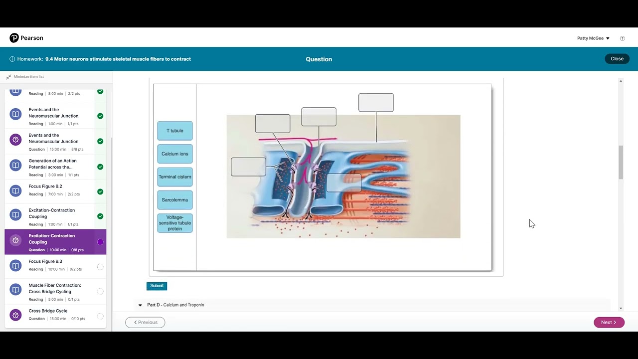 Interactive Reading Assignments