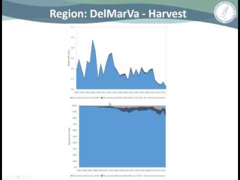 ASMFC Tautog Board Proceedings Oct2016