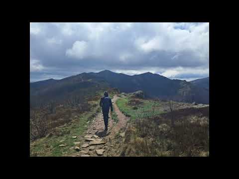 Raked - Nie mam zamiaru się chować