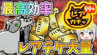 逆カバ、最高効率の日に１時間周回したらレアチケ大量に稼げるのか！？【にゃんこ大戦争】【ゆっくり実況】２ND#705