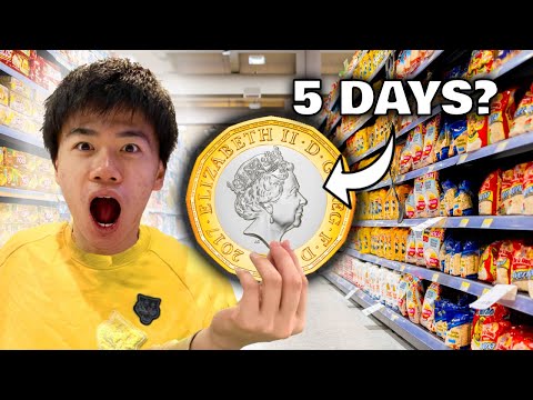 Can I SURVIVE on £1 Meals for 120 Hours?