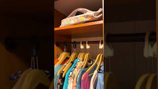 Carnival Legend-MSC Seascape Balcony Cabin Comparison 