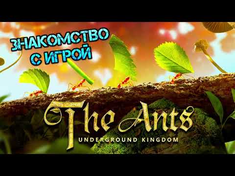 Steam Community :: Video :: The Ants 🐜 Underground Kingdom ...