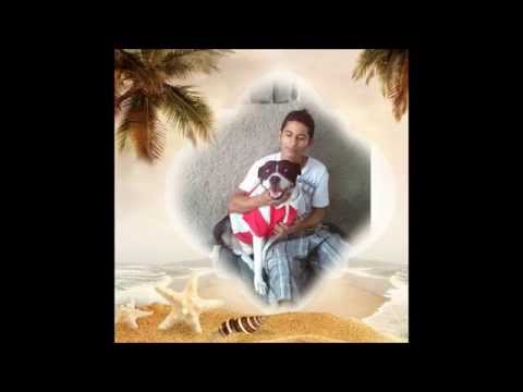 FELTON MI PERRO MOSSO PECIOSO