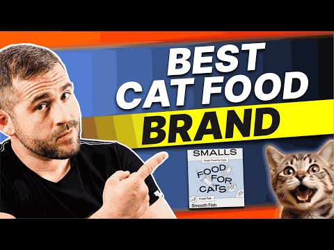 The Best Cat Food Brand: Smalls Cat Food Review 2026