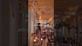 instant money magnet mini sub #moneymanifesting #affirmations #manifestingriches