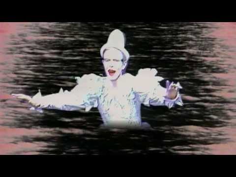 David Bowie   Five Years in the Making of an Icon