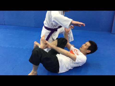 ホイホイガード
