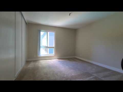 Belmont Terrace | 1 Bedroom 1 Bathroom Apartment at Belmont CA 94002