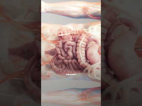 Candice Felizola-52