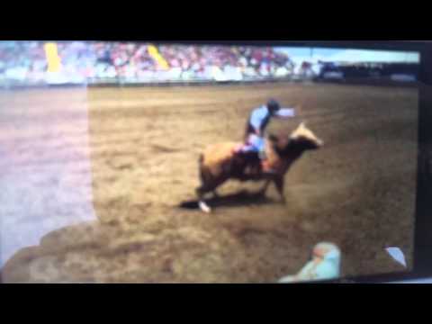 Bull Riding Aaron v. 091 Hawaiian High Tide Ang. 2