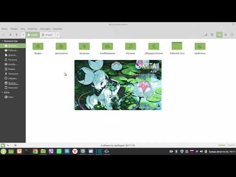 На каком ноутбуке живет видеоблогер и каким софтом пользуется  Linux Mint Cinnamon 19