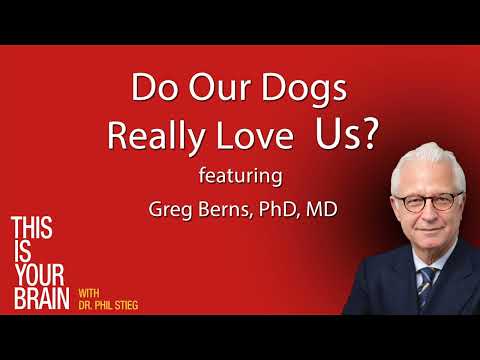 Do Our Dogs Really Love Us ?