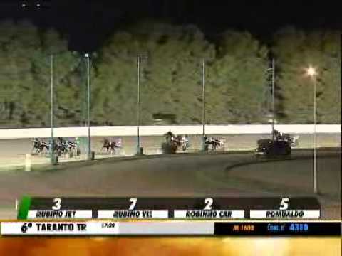 31/10/2013, Taranto , Premio San Severo C.naz.