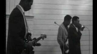 Hound Dog Taylor  &amp; Little Walter - Wild About you baby