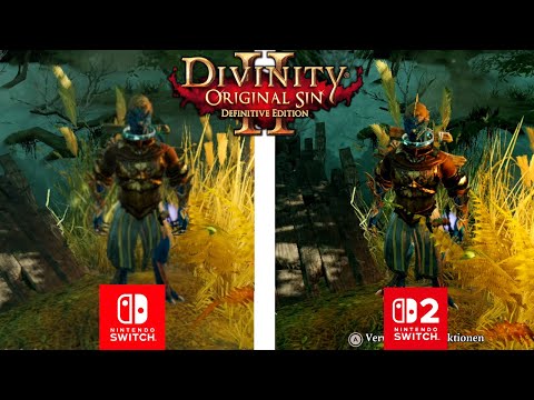 Divinity: Original Sin 2 - Definitive Edition Switch 2 vs Switch 1 Comparison