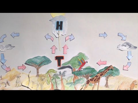 Der Passatkreislauf - Erklärvideo einer 8. Klasse (2)