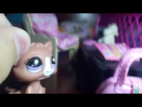 LPS:шуточное видео. Как делают уроки 5 типов учеников.