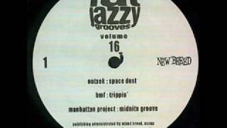 Fat Jazzy Grooves: Prunes - DSB Style