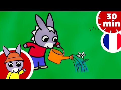 🥰 Trotro est un gentil petit âne 🥰 | compilation pour enfants