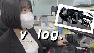 퀘이사존