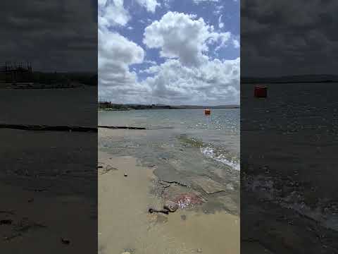 Río São Francisco Traipu Alagoas