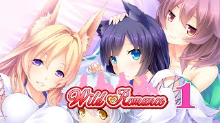 Switch「Wild Romance（ワイルド ロマンス）」#1 ネタバレ注意 初見実況プレイ