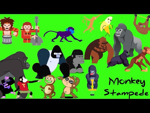 animal stampede part - 8 | monkey stampede green screen | gorilla version | monkey run