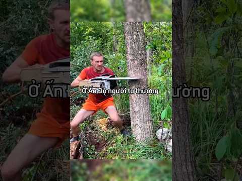 Cách người nước ngoài đốn cây để không gây thiệt hại gì 😳