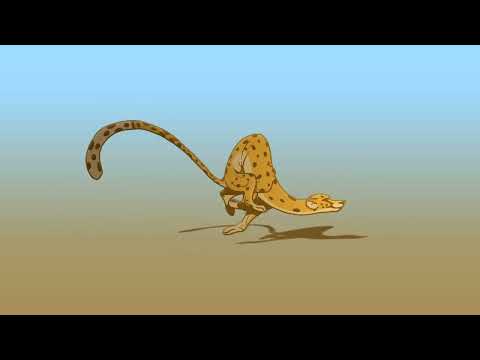 Tiger Run Cycle | 2dAnimation |Ashkan Naeimi | @cgislandFx | #animation #tiger #cheetah