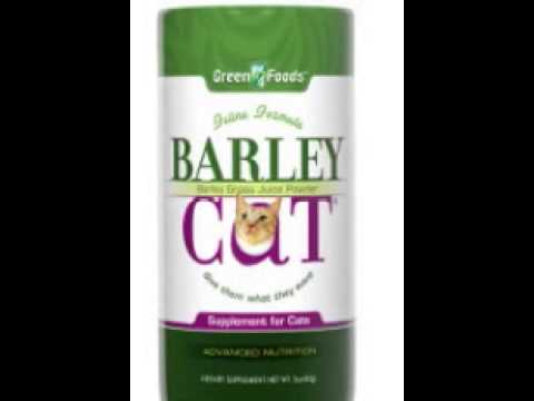 download lagu mp3 mp4 Green Foods Barley Cat, download lagu Green Foods Barley Cat gratis, unduh video klip Green Foods Barley Cat