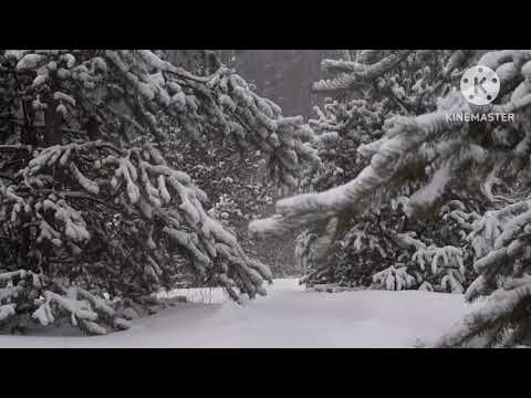 New Italo Disco Style"Jurij Shatunov"-Wieczór Mroźnej Zimy.Instr.Cover-Dariusz Ejdys.🎹2023.