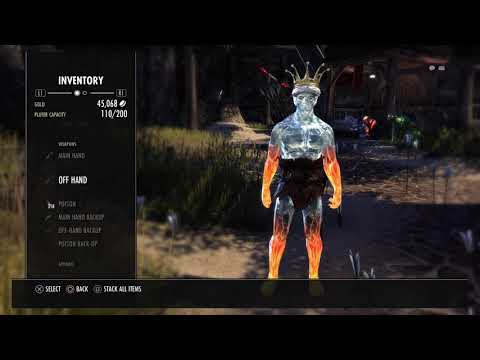 Stamina Dragonknight Bow\Bow Build, 45k dps parse, Elsweyr