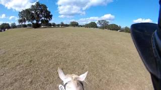 Helmet Cam: 2017 Rocking Horse Winter II (Elisa Wallace & Emit)