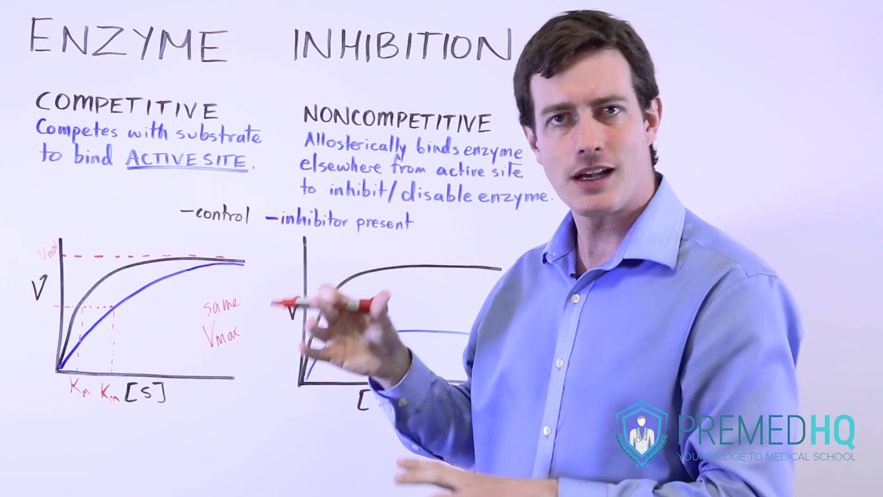 Types of Enzyme Inhibition: Competitive vs Noncompetitive | Michaelis-Menten Kinetics